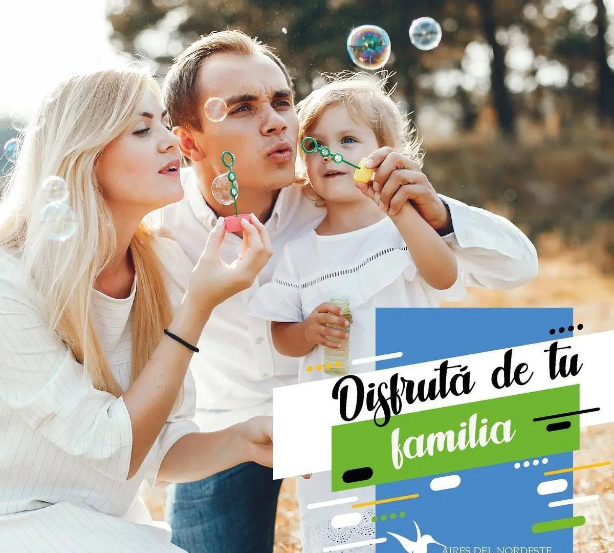 VENTA - PRECIO MAS BAJO TERRENO - AIRES DEL NORDESTE 8