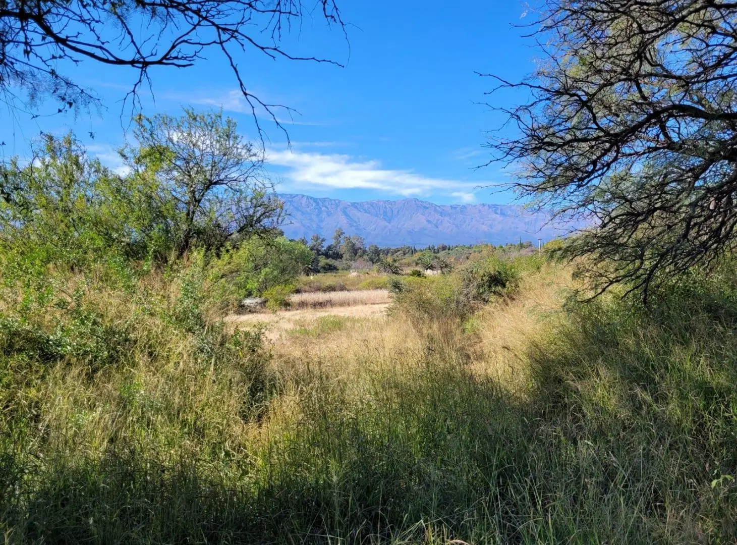 Terreno en Villa De Las Rosas Las Tapias Traslasierra Cordoba Venta 3