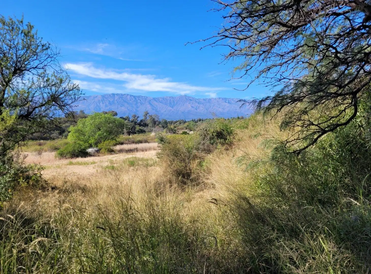 Terreno en Villa De Las Rosas Las Tapias Traslasierra Cordoba Venta 2