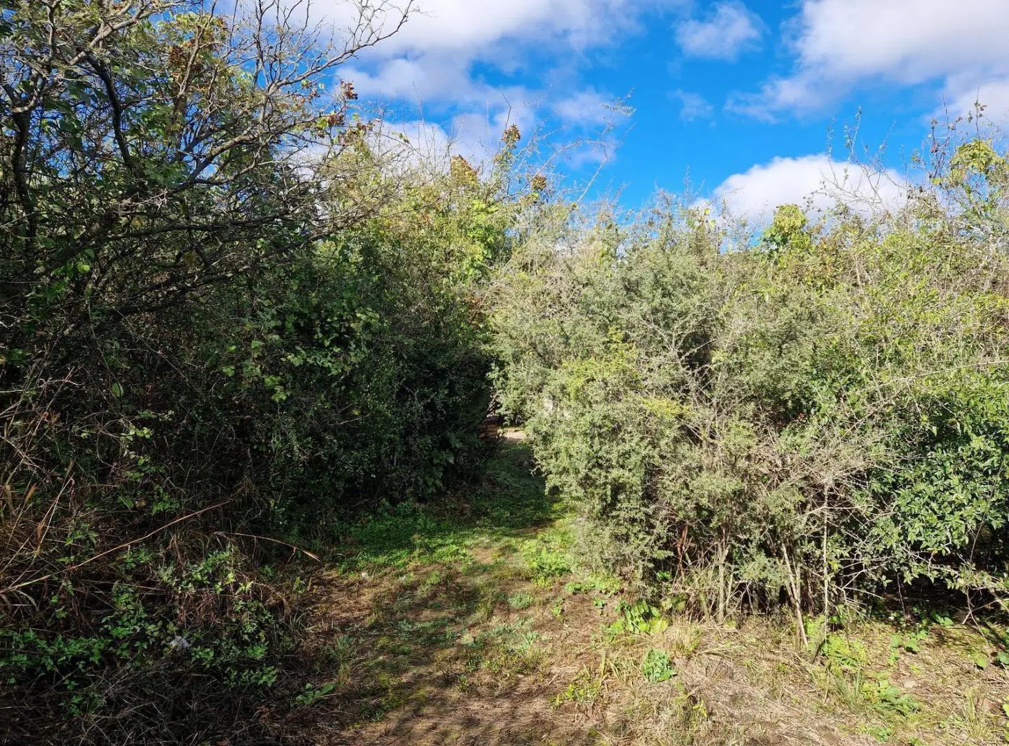 En Venta Terrenos sobre Ruta 14 en San Javier, Traslasierra!! 2