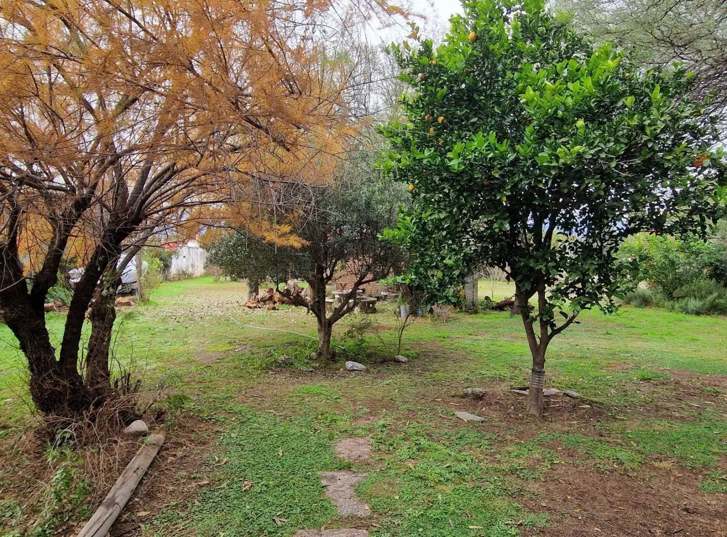Gran Oportunidad! Venta de Casa mas una Cabaña en Piedra Pintada, Villa Dolores, Traslasierra 3
