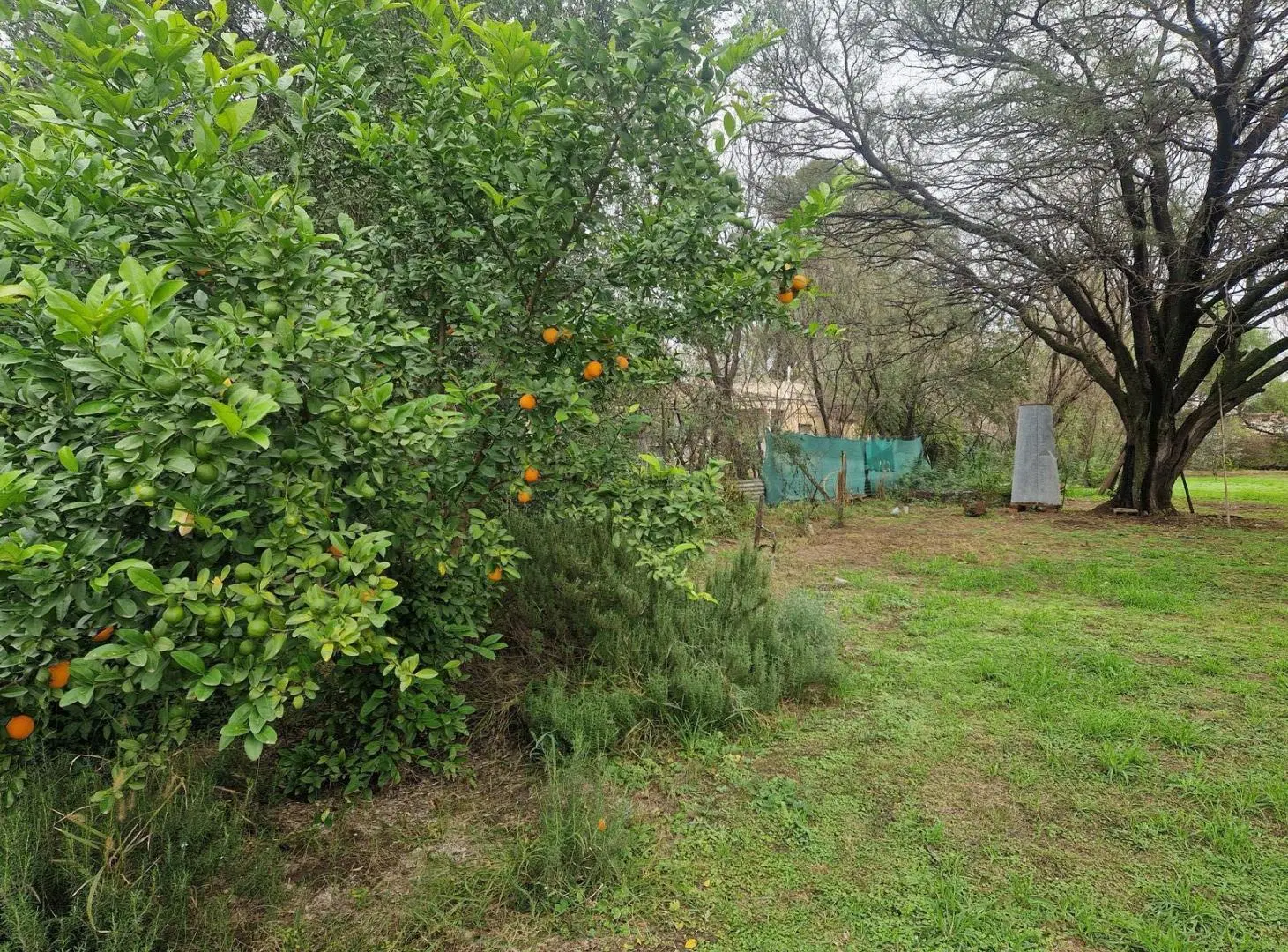 En Venta Terreno con pequeño Local en B. Piedra Pintada de Villa Dolores, Traslasierra!! 3