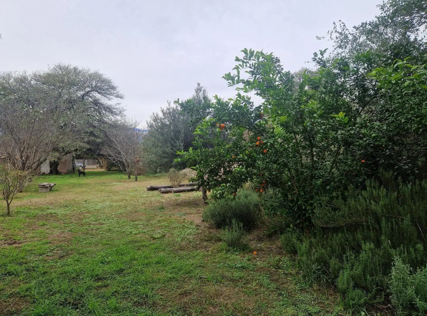 En Venta Terreno con pequeño Local en B. Piedra Pintada de Villa Dolores, Traslasierra!! 4