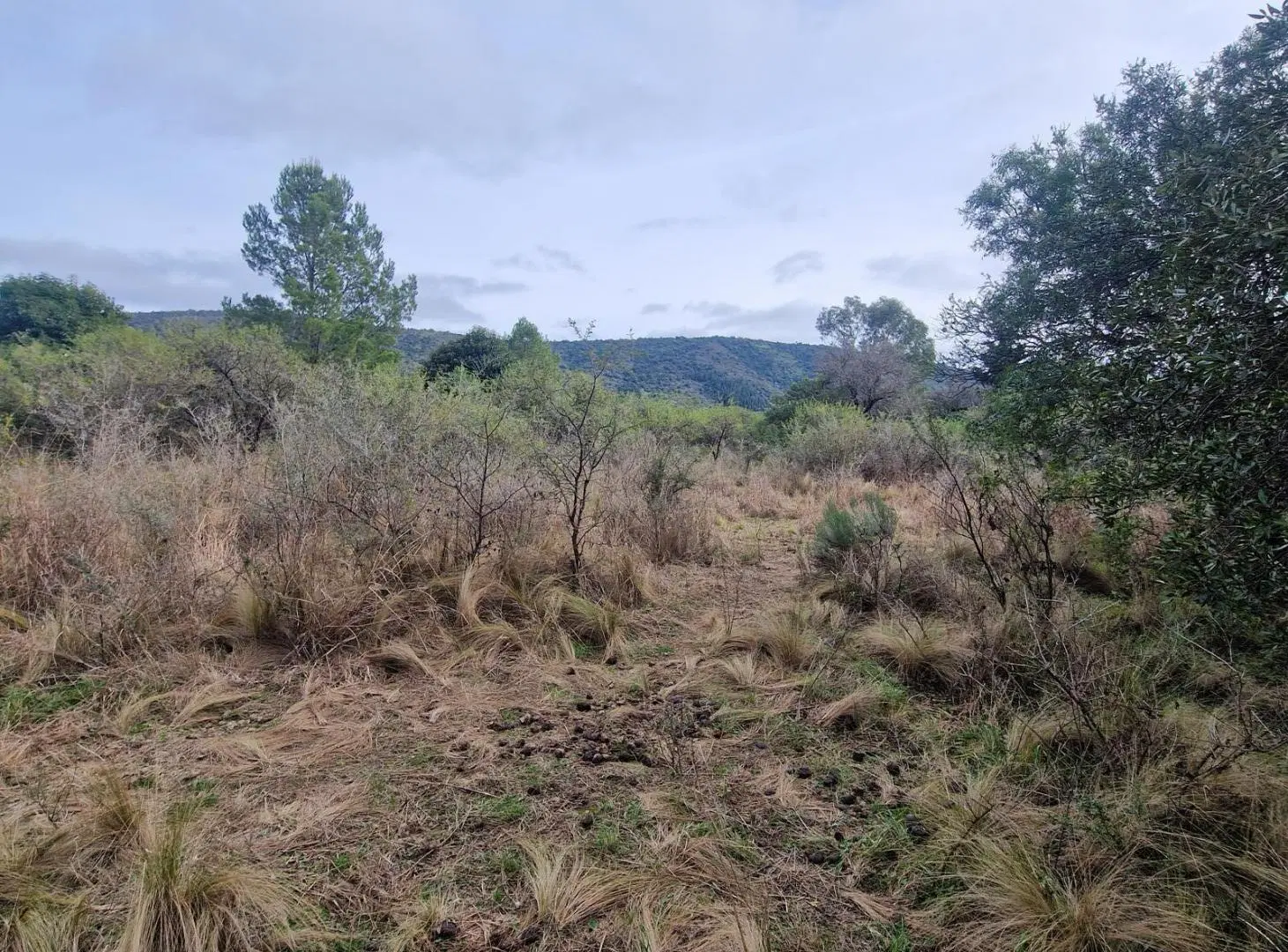 En Venta Terreno, Ubicación, Vistas, Escritura en Los Hornillos, Traslasierra!! 4