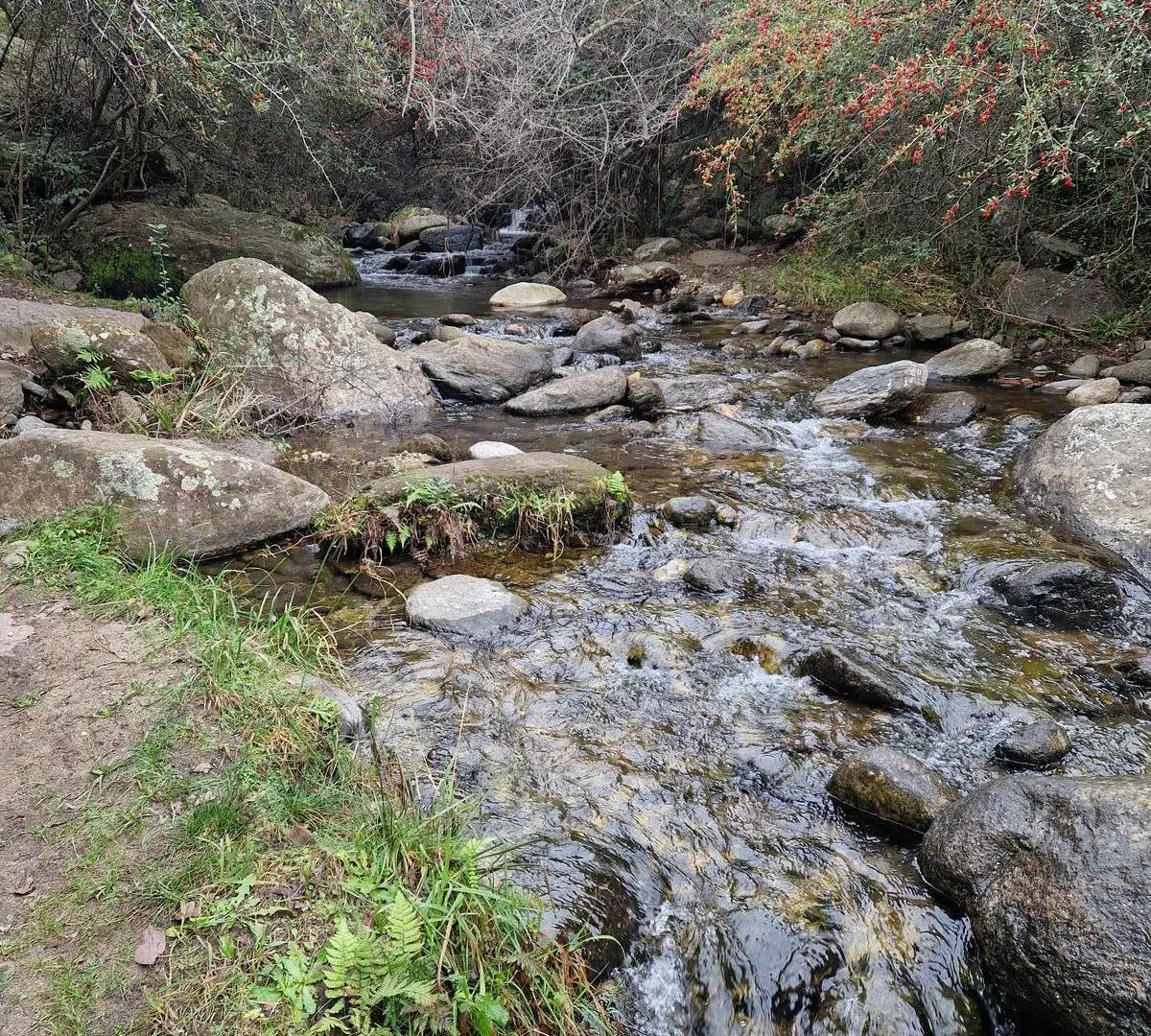 Terreno de 3.820 m2 . Arroyo, Senderos. Zona Alta de San Javier Traslasierra 5