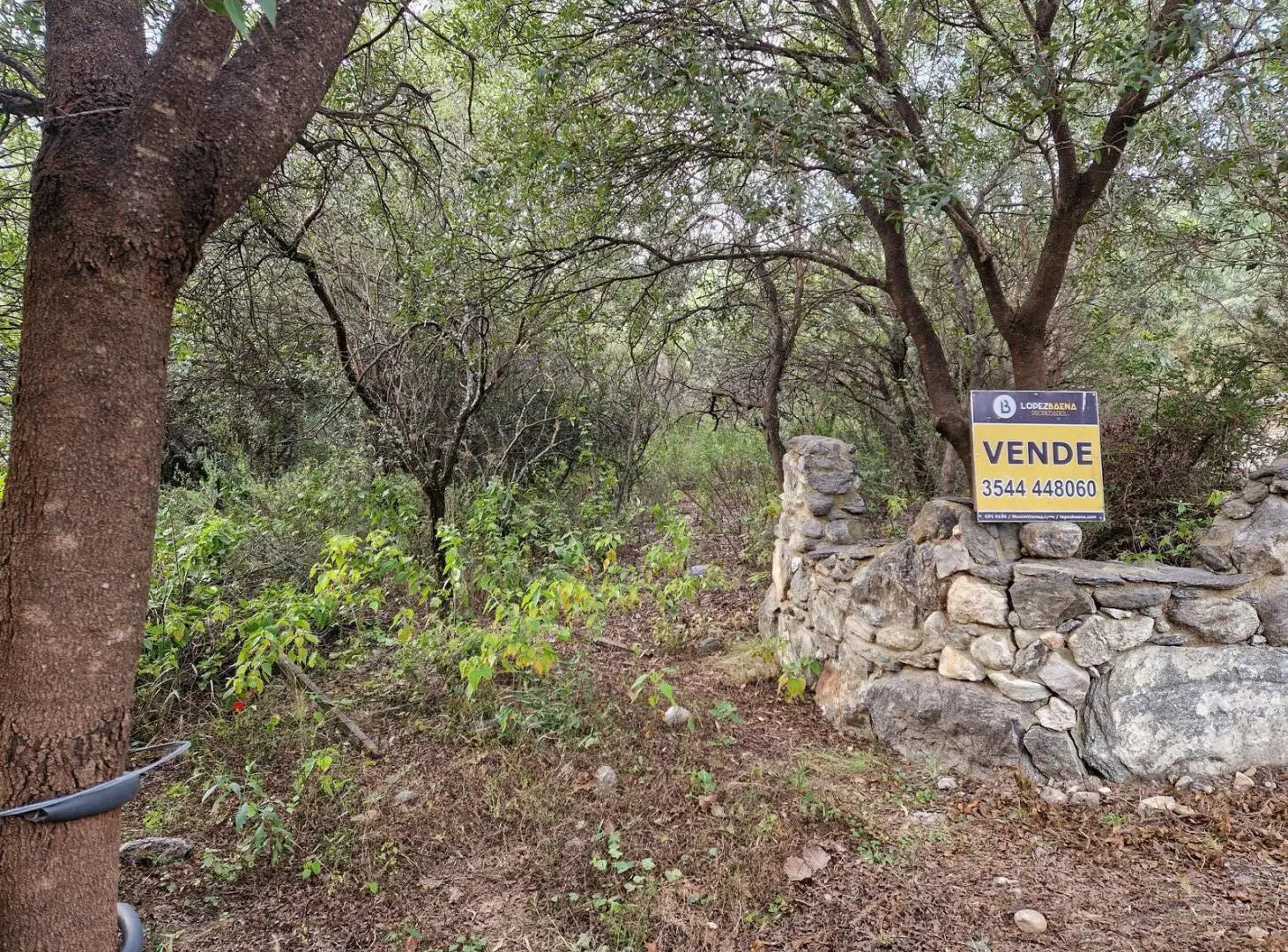 Terreno de 3.820 m2 . Arroyo, Senderos. Zona Alta de San Javier Traslasierra 2