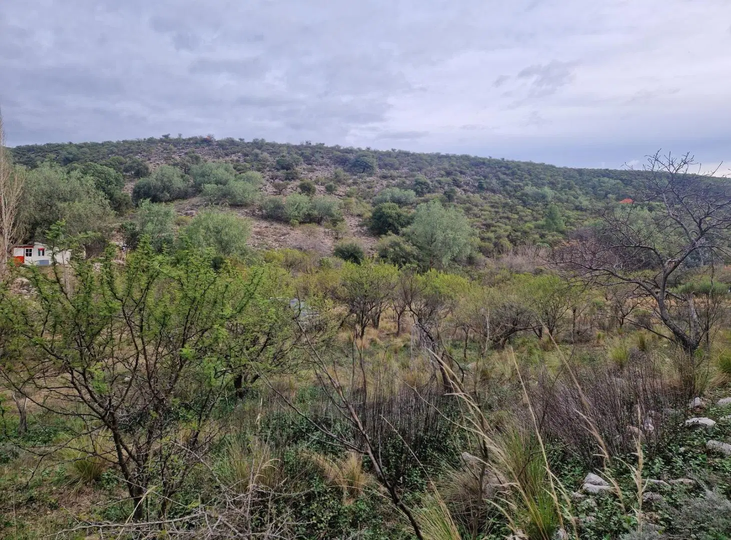 Terreno Muy Bonito de 5.200 m2 en Los Hornillos, Traslasierra!! 2