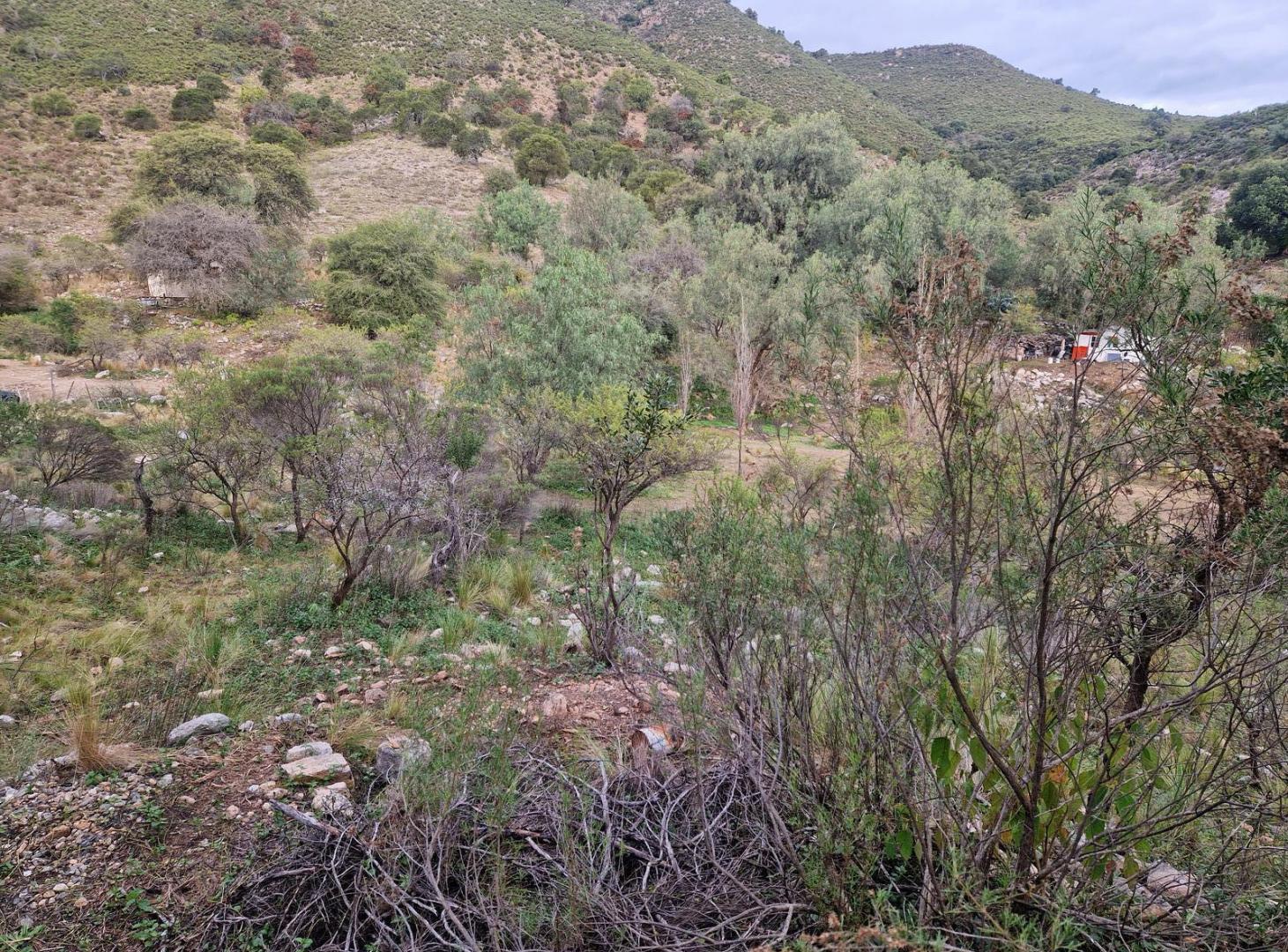 Terreno Muy Bonito de 5.200 m2 en Los Hornillos, Traslasierra!!