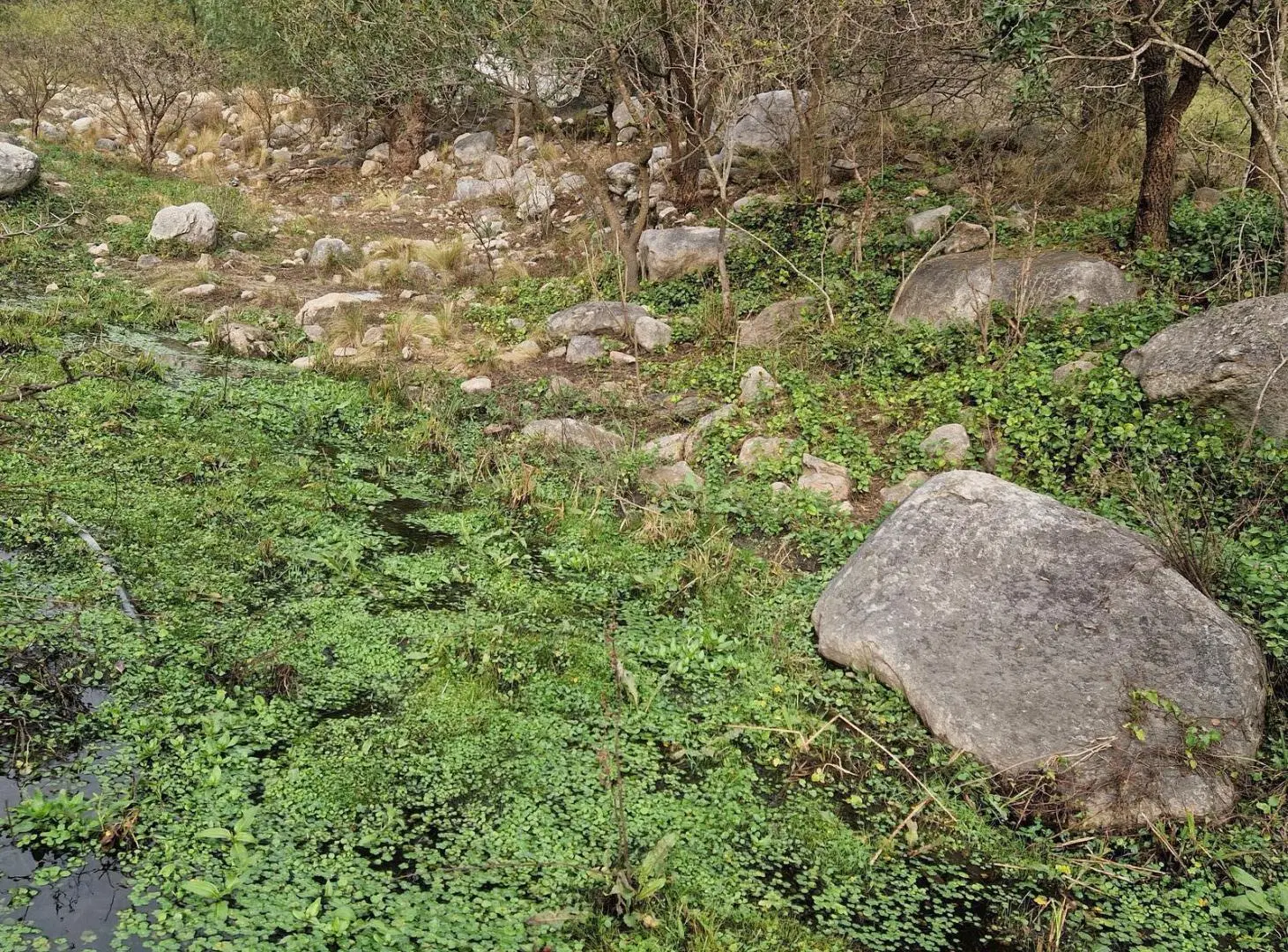 Terreno Muy Bonito de 5.200 m2 en Los Hornillos, Traslasierra!! 5