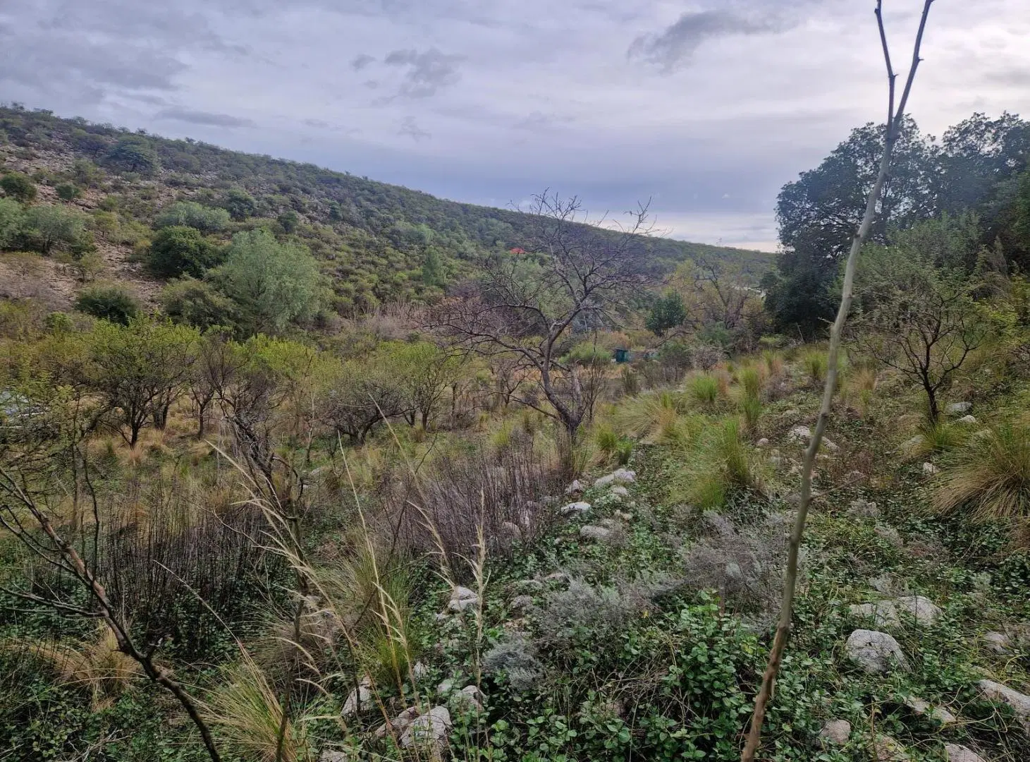 Terreno Muy Bonito de 5.200 m2 en Los Hornillos, Traslasierra!! 3