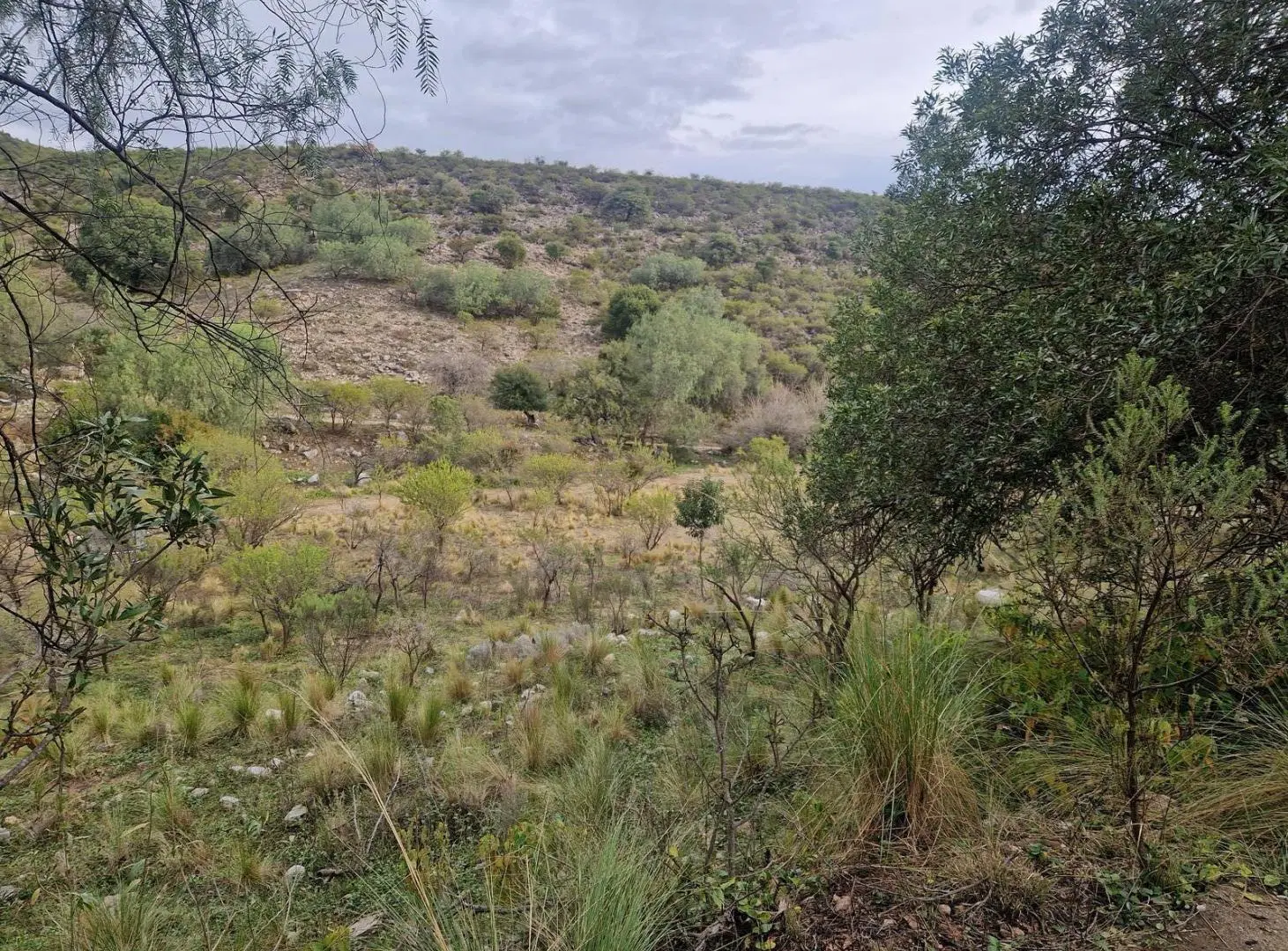 Terreno Muy Bonito de 5.200 m2 en Los Hornillos, Traslasierra!! 4