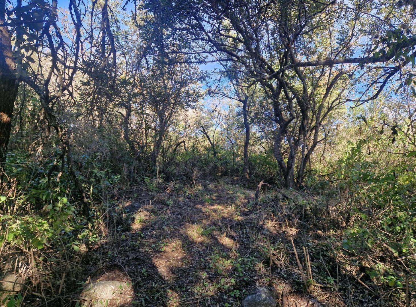 Foto de Terreno en Venta de 2.550 m2 en Los Molles, Traslasierra!!, imagen 4