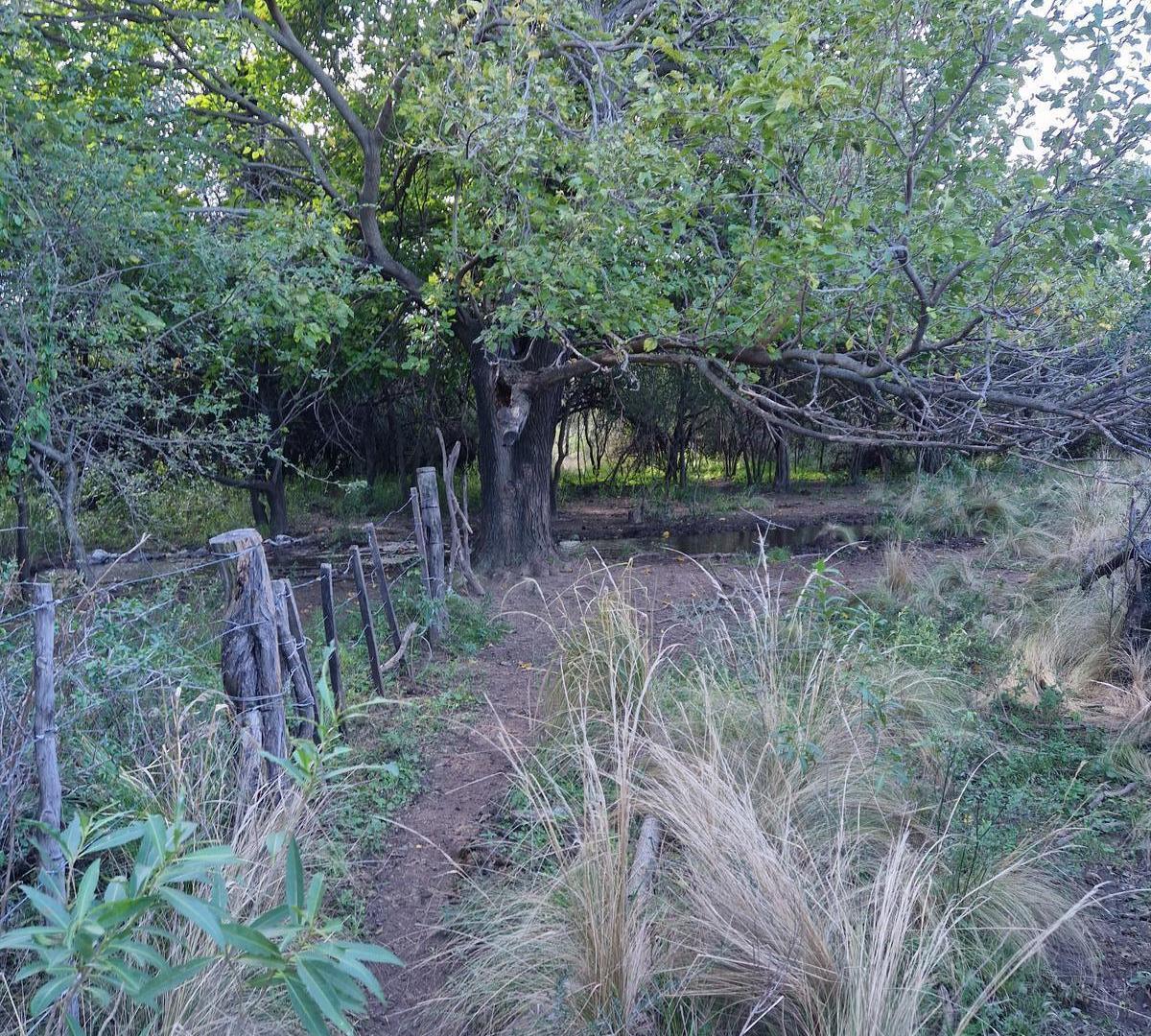 Foto de Campo de 50 Hectáreas en venta en Yacanto Traslasierra!!, imagen 4