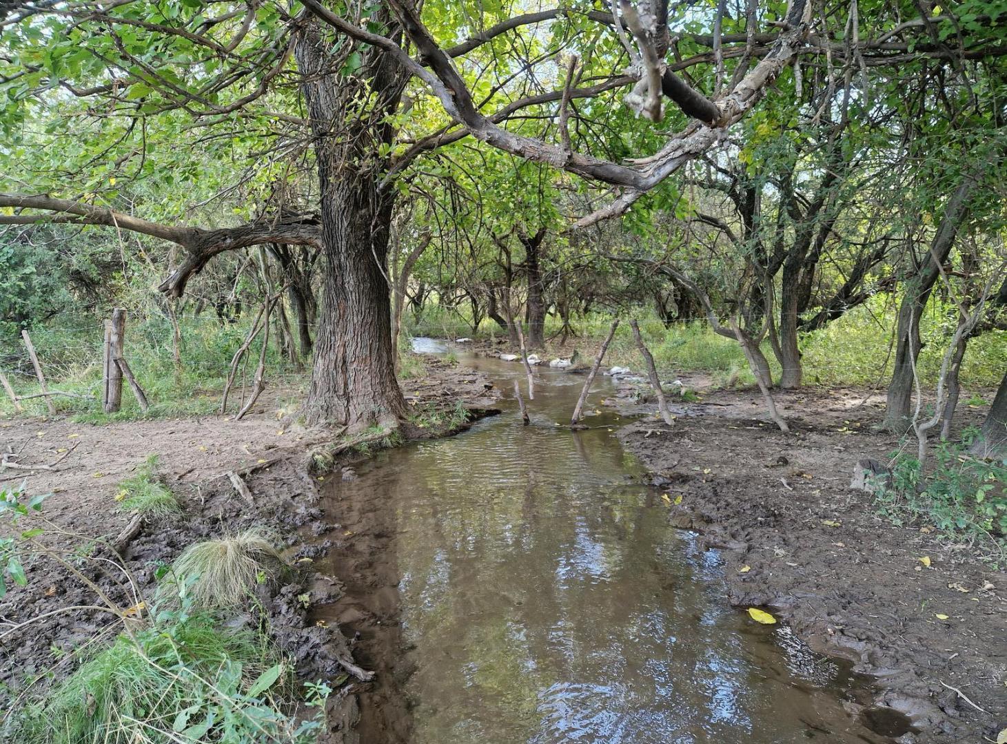 Foto de Campo de 50 Hectáreas en venta en Yacanto Traslasierra!!, imagen 5