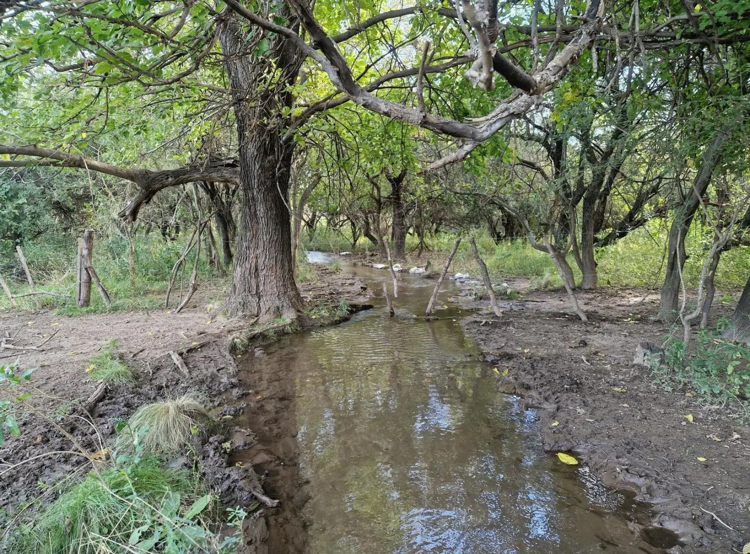 Campo de 50 Hectáreas en venta en Yacanto Traslasierra!! 5