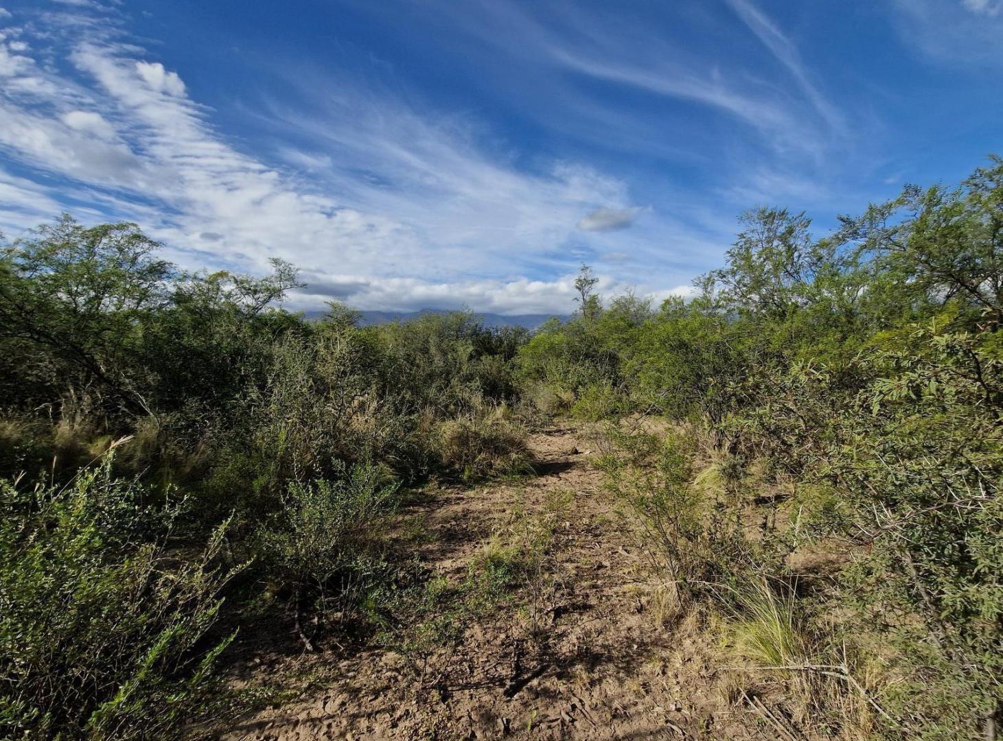 Foto de Campo de 50 Hectáreas en venta en Yacanto Traslasierra!!, imagen 2