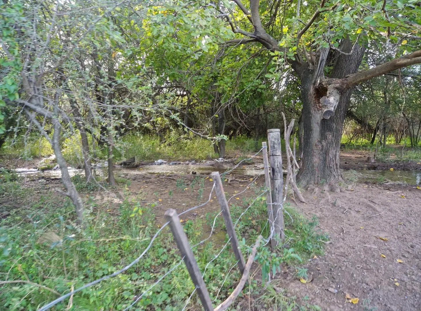 Campo de 50 Hectáreas en venta en Yacanto Traslasierra!! 3
