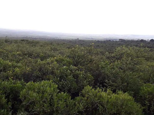Venta de Campo - Rodeo De Piedra Traslasierras, !! 2