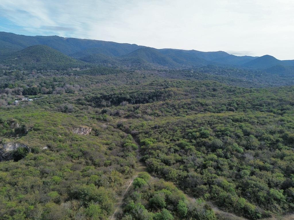 Foto de CAMPO 49 HECT EN VENTA UNQUILLO CON SANEAMIENTO DE CANTERA, imagen 5