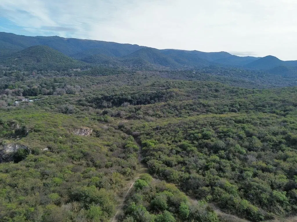 CAMPO 49 HECT EN VENTA UNQUILLO CON SANEAMIENTO DE CANTERA 5
