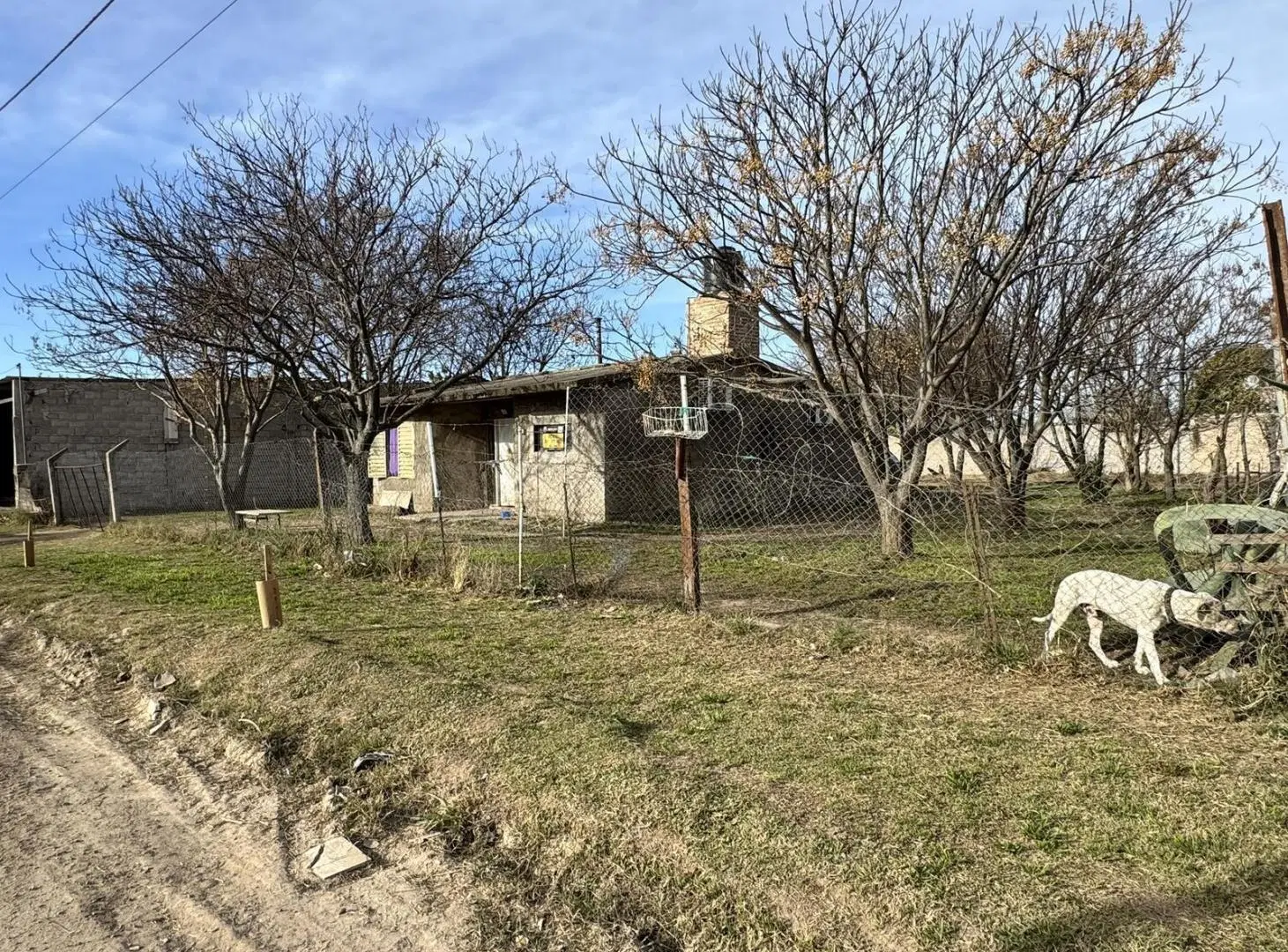 Gran oportunidad en B° Floresta Sur, 1.086m2 de terreno C/escritura y enorme potencial 5