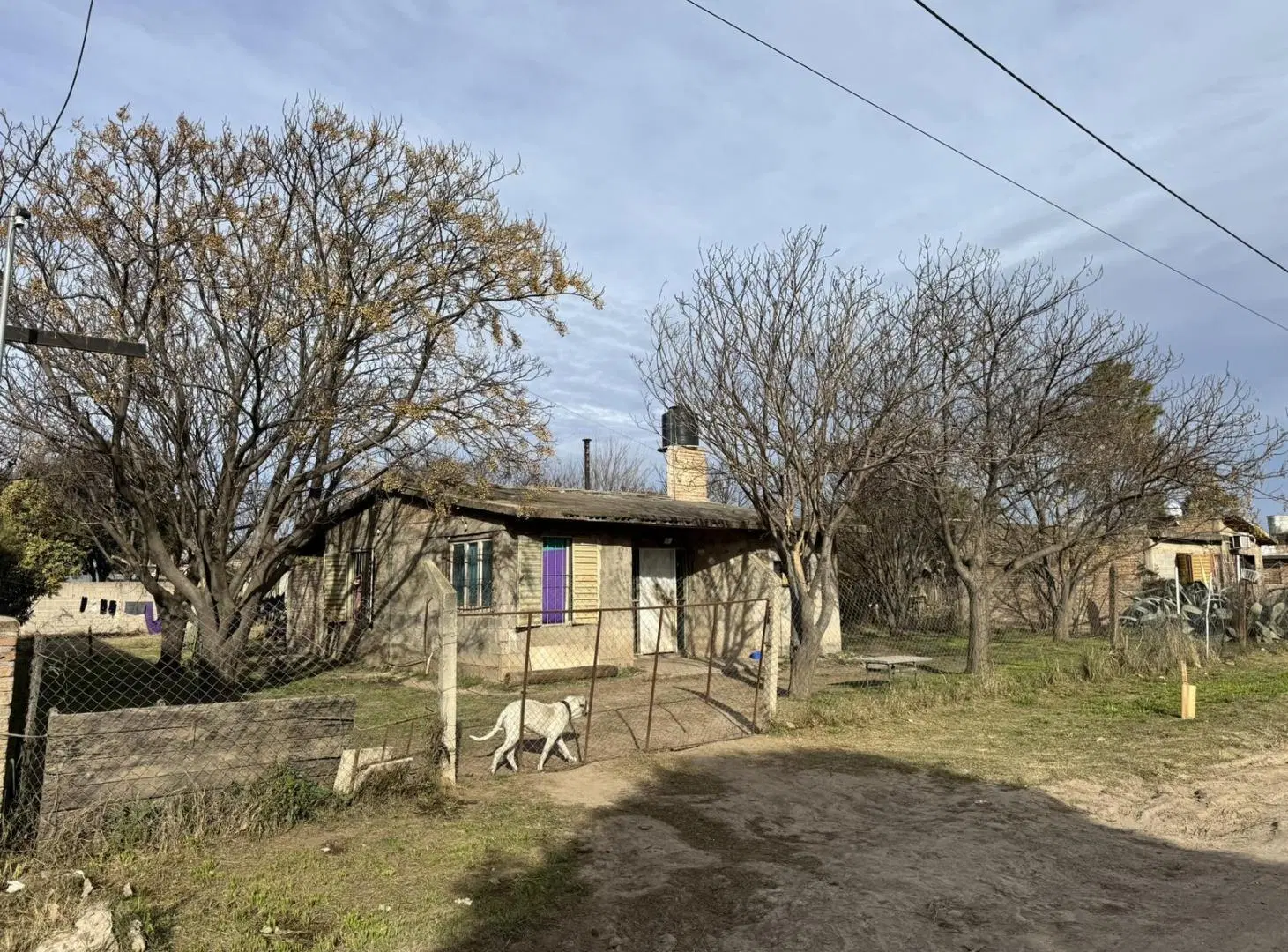 Gran oportunidad en B° Floresta Sur, 1.086m2 de terreno C/escritura y enorme potencial 3