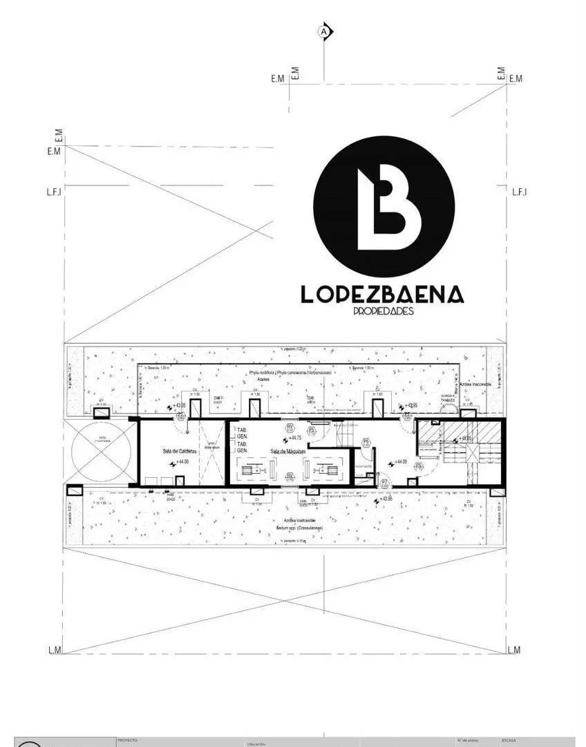 Plano 7