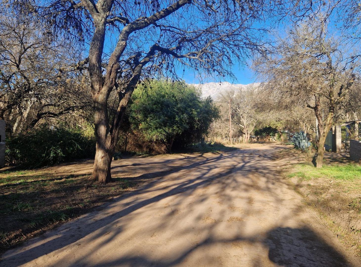 Foto de Terreno en Venta, con Arboles, Servicios, en Los Pozos, Traslasierra!!, imagen 4