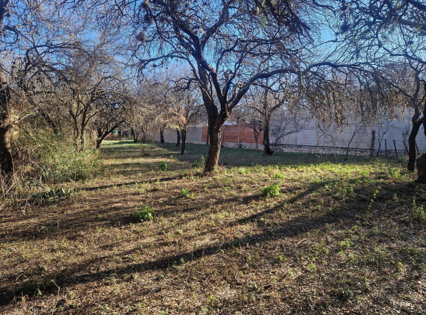 Foto de Terreno en Venta, con Arboles, Servicios, en Los Pozos, Traslasierra!!, imagen 5
