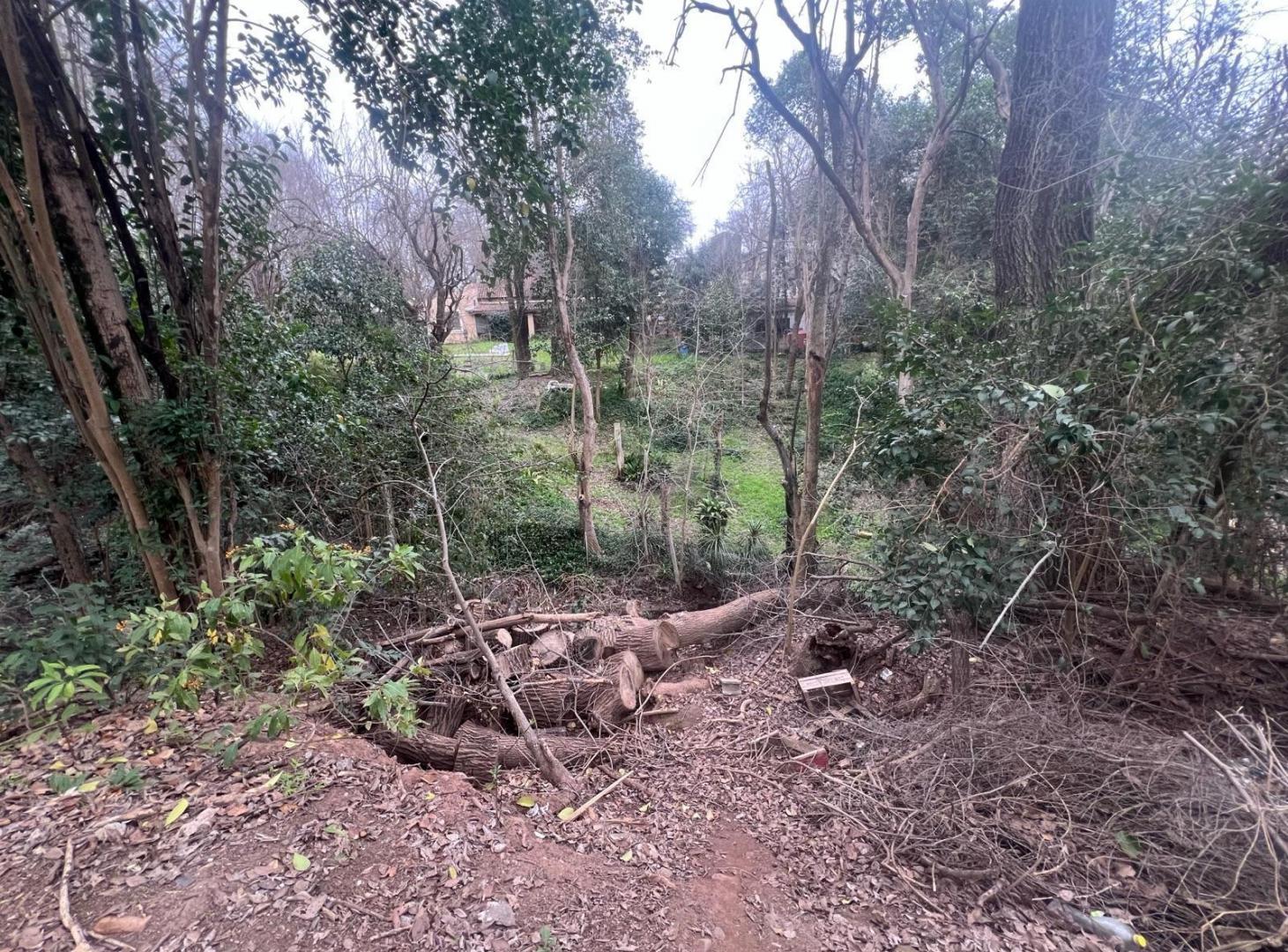 Foto de Venta Terrenos Contiguos/ 4728 mt / Invertí con Visión/ Villa Warcalde,, imagen 3