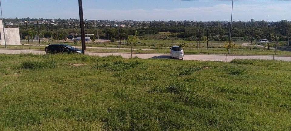 Foto de Vendo Lote en Balcones del Este 250 m2 Apto. Duplex, y Subdivisión., imagen 4