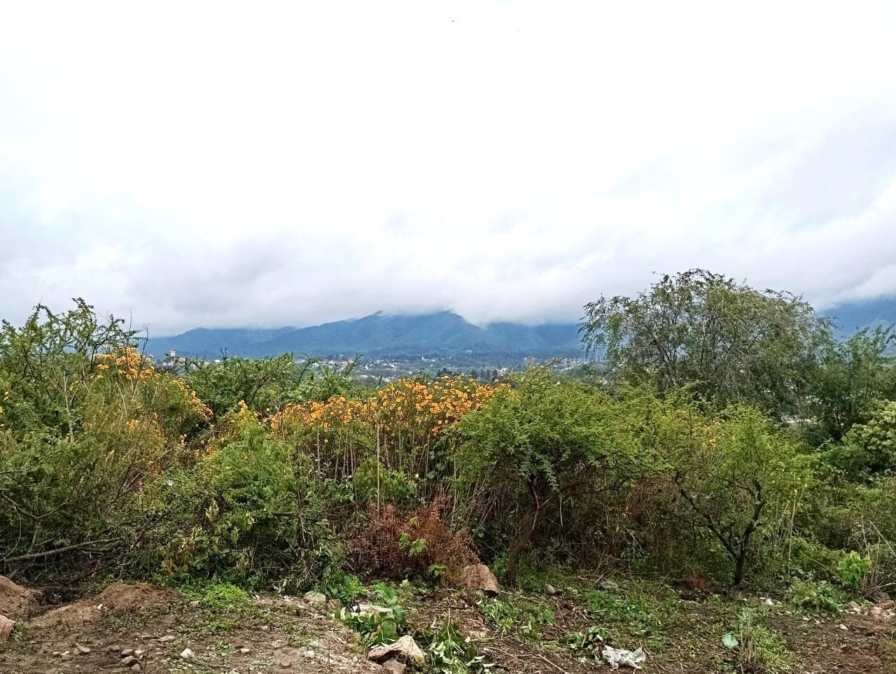 Foto de Terreno VENDO en La Falda con Escritura y construcción, imagen 4