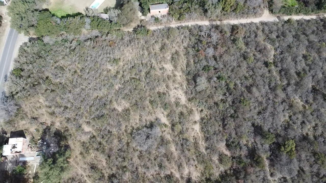 Foto de Ruta 14 En Venta Terreno 2 Has. Con pequeño Local en Cruz de Caña, imagen 5