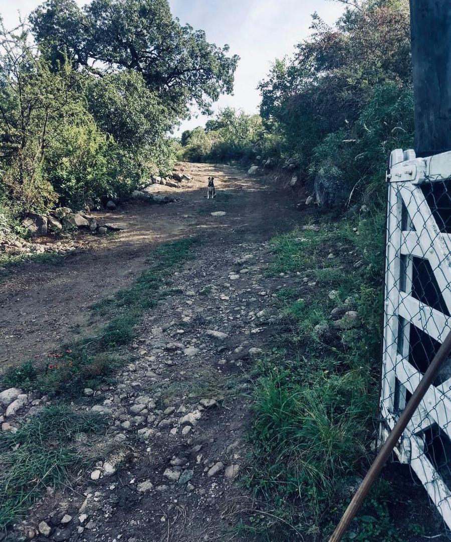 Foto de En Venta 1 Hectárea o mas en Reserva de Monte Nativo, Achiras Arriba, imagen 5