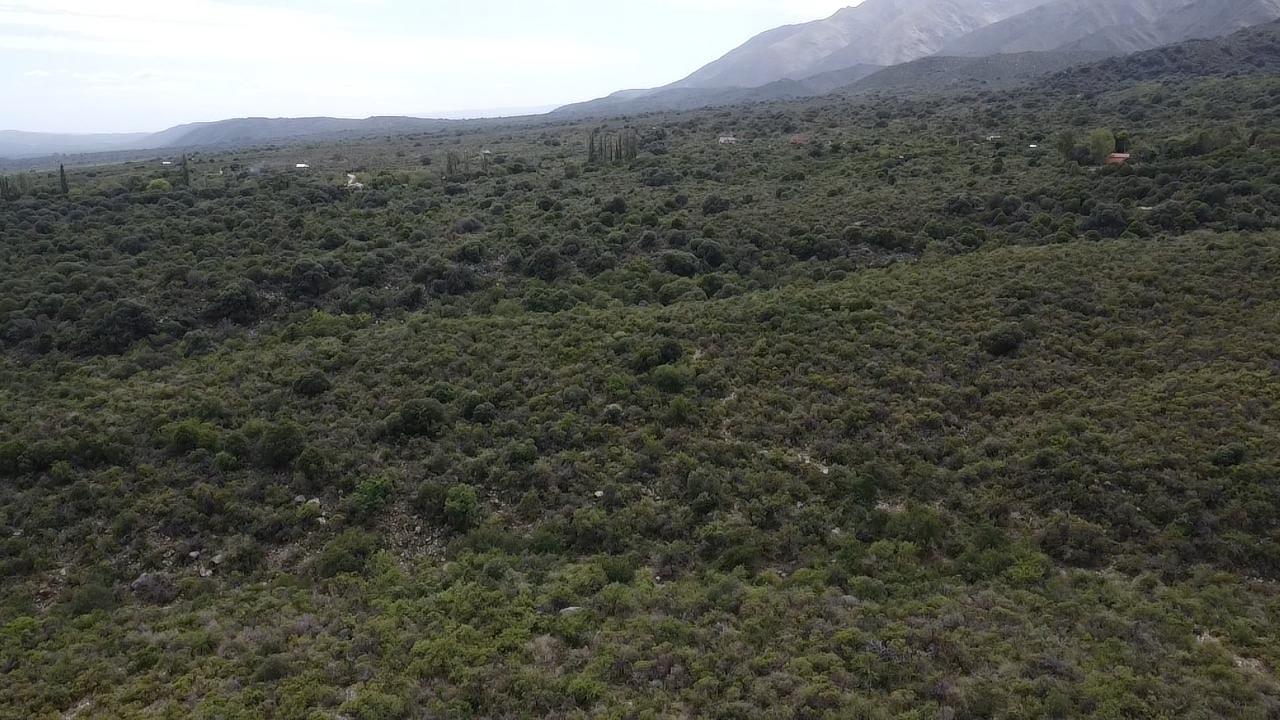 Foto de En Venta 6 Hectareas con Arroyo en Achiras Arriba, San Javier, imagen 4
