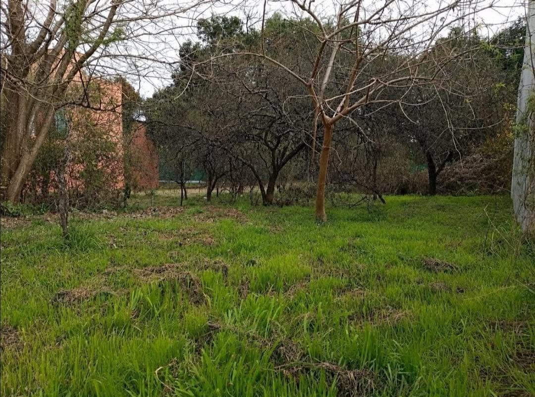Foto de venta lote en villa catalina c/escritura OPORTUNIDAD!!, imagen 5