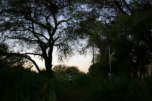Foto de Venta de 12 hectareas en Conlara en Traslasierra!!, imagen 4