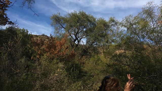 Foto de Campo en Venta en Yacanto, imagen 4