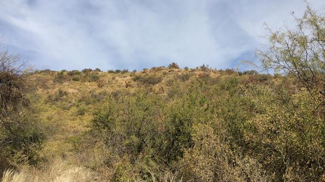 Foto de Campo en Venta en Yacanto, imagen 3