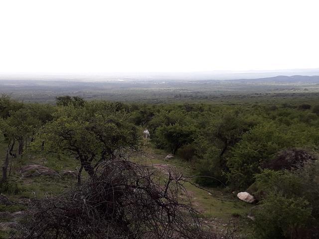 Foto de Venta de Campo - Rodeo De Piedra Traslasierras, !!, imagen 3