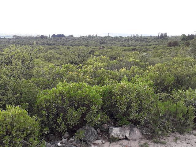 Foto de Venta de Campo - Rodeo De Piedra Traslasierras, !!, imagen 2