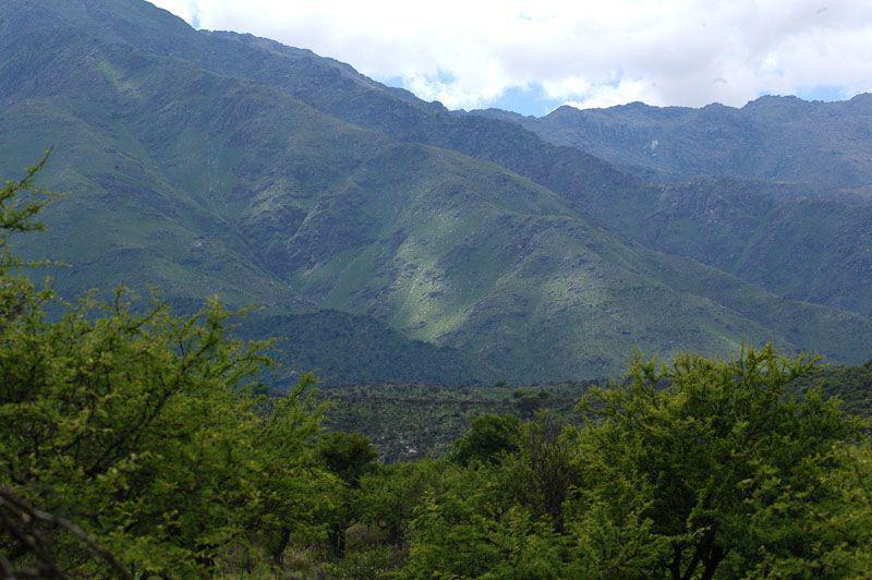 Foto de En Venta en Achiras Arriba Terreno de 6.800 mts, San Javier, imagen 5