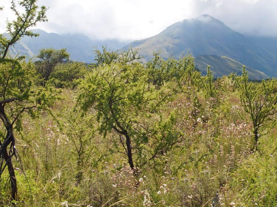 Foto de En Venta en Achiras Arriba Terreno de 6.800 mts, San Javier, imagen 4