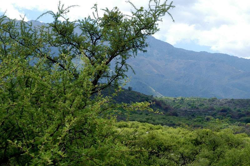 Foto de En Venta en Achiras Arriba Terreno de 6.800 mts, San Javier, imagen 2