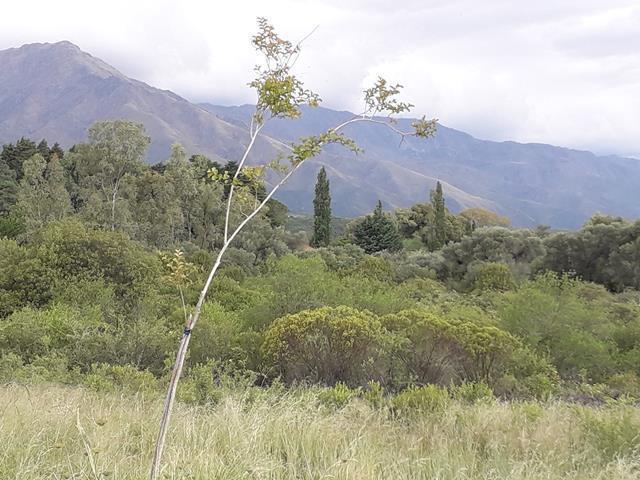 Foto de Venta de Terrenos en Rodeo De Piedra Traslasierra!!, imagen 3