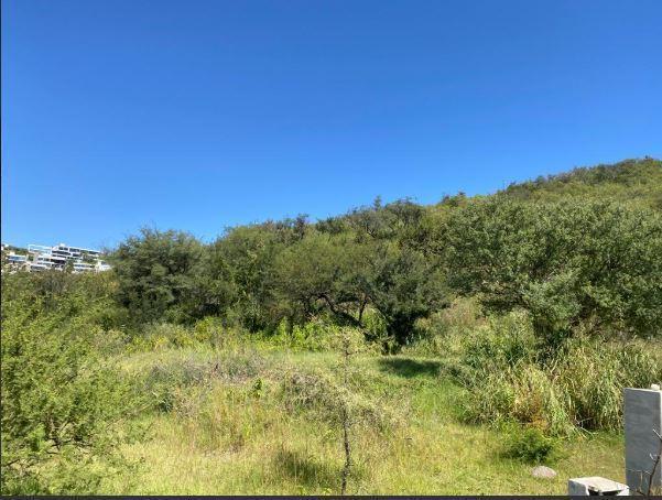 Foto de VENTA TERRENO EN COUNTRY LA DESEADA MANZANA 1 LOTE 3, imagen 5
