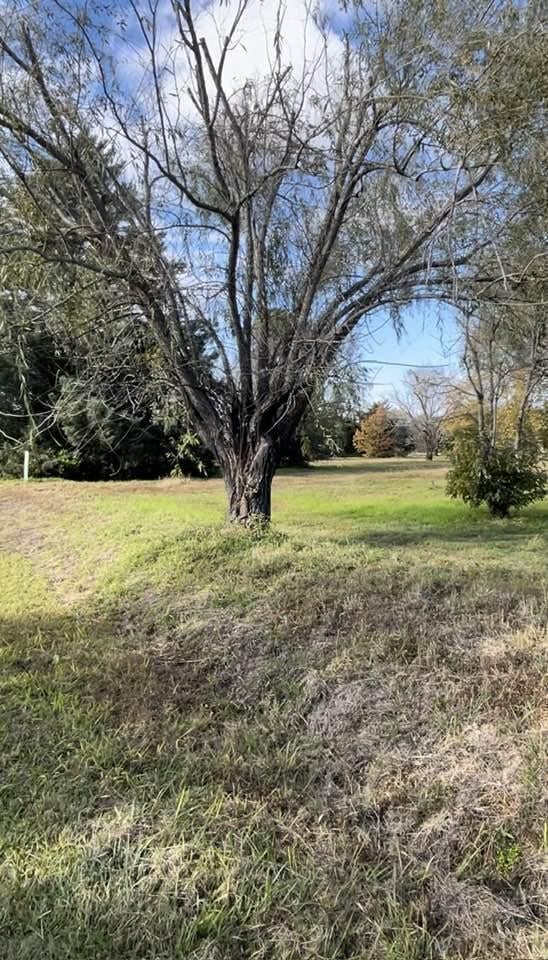 Foto de Terreno en venta Valle del golf cuarta etapa de 480 metros, imagen 1