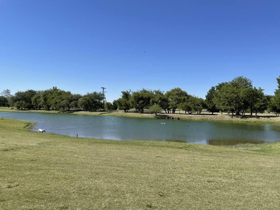 Foto de Terreno en venta Valle del golf cuarta etapa de 480 metros, imagen 5