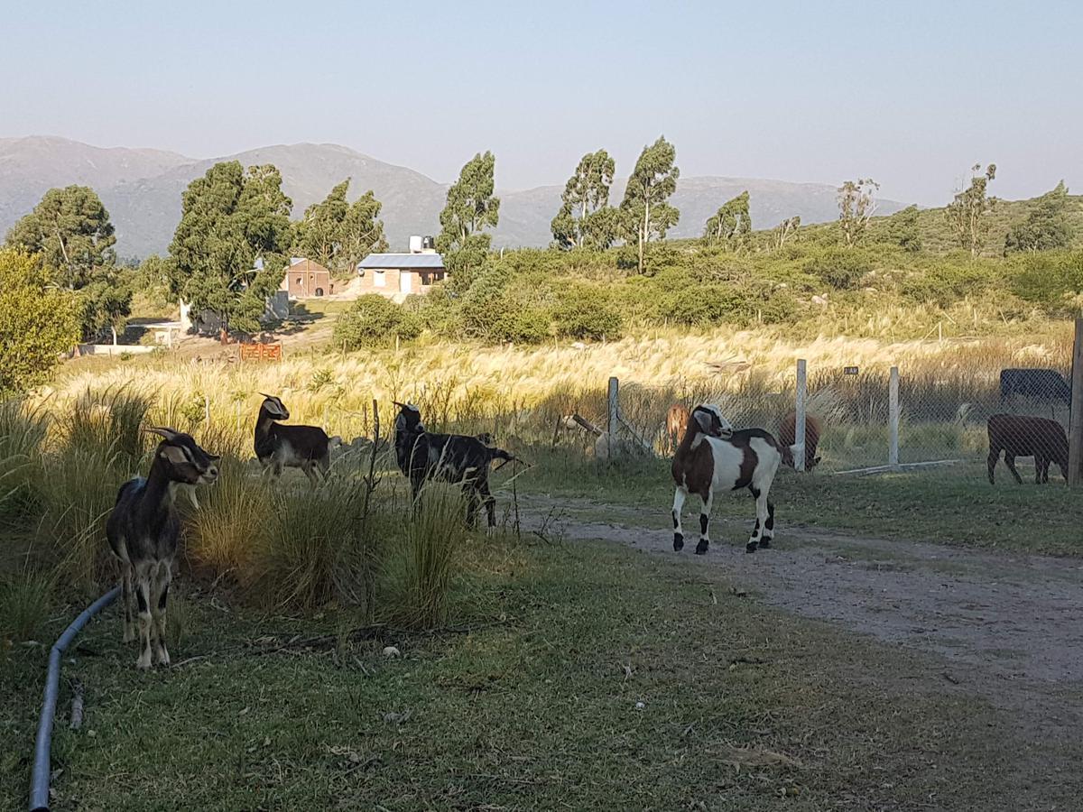 Foto de LOS 3 ARROYOS, CLUB DE CAMPO, LA FALDA. VENTA DE LOTES CON FINANCIACION, imagen 4