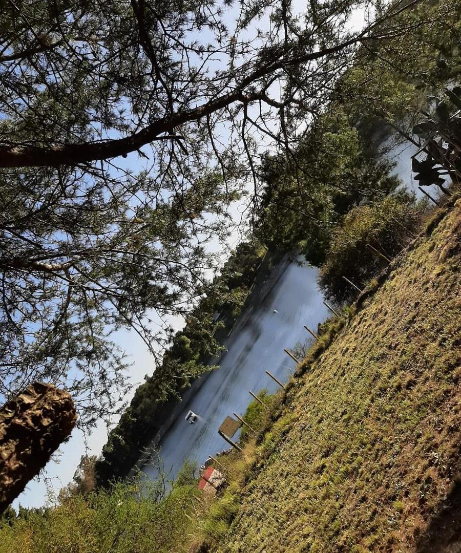 Foto de Extenso Terreno con costa al lago en Potrero De Garay, imagen 4